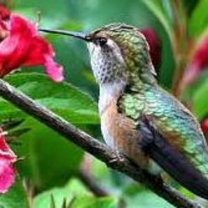 Meet your Posher, Cheri